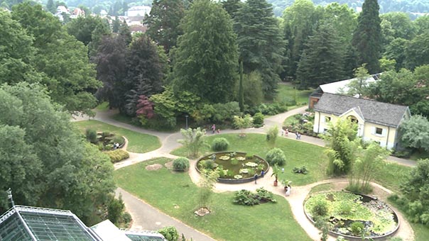 bionik_botanischer garten freiburg.jpg