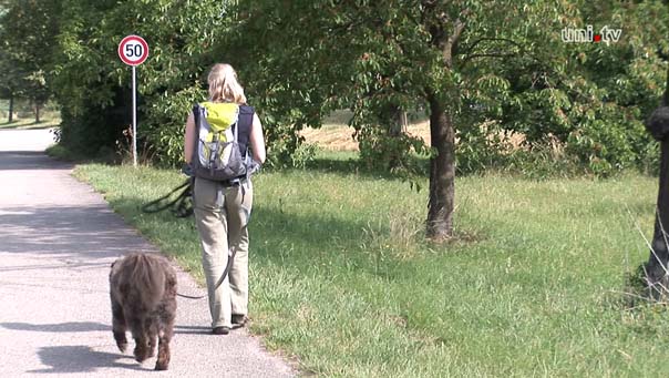 gassi gehen mit hund.jpg