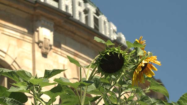 urban gardening 1.jpg