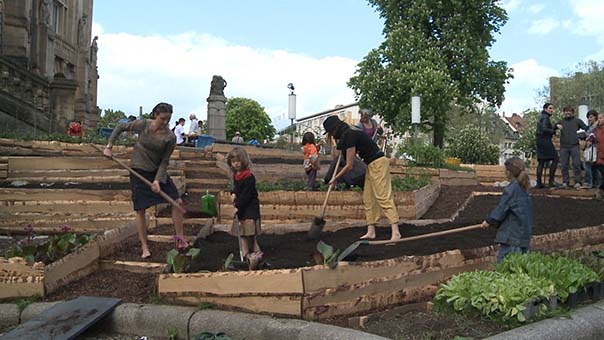 urban gardening 2.jpg